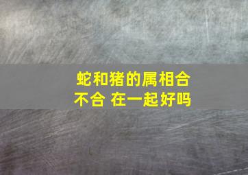 蛇和猪的属相合不合 在一起好吗